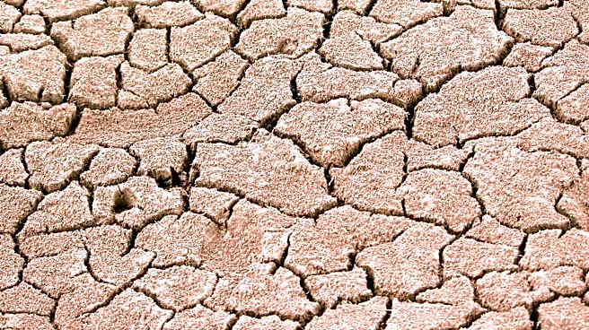 High Plains Ranchers Face Forage Shortages Amid Drought Conditions