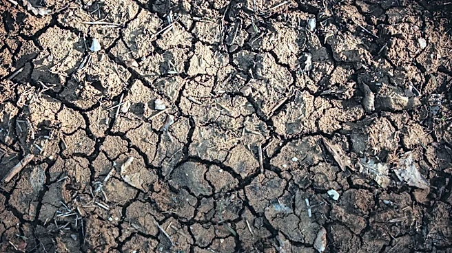 U.S. Drought Monitor Highlights Widespread Drought Relief and Persistent Dry Conditions