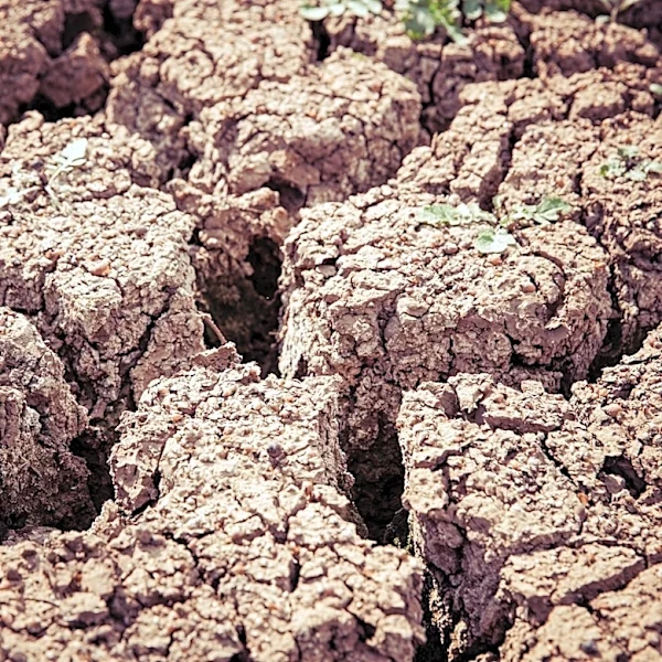 Nebraska Farmers Face Drought, Wildfires, and Water Shortages