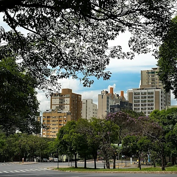 Cambridge, MA Expands Urban Tree Canopy to Combat Heat