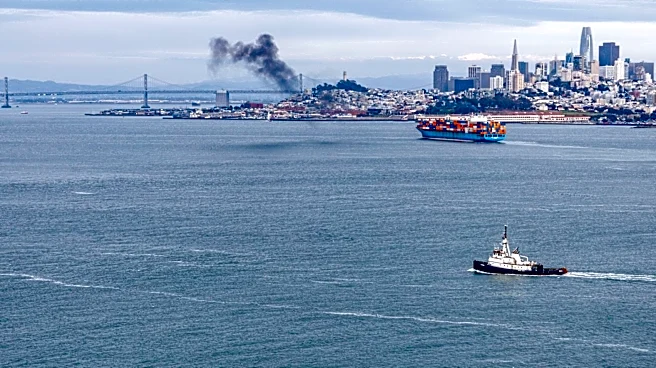 Gray Whales in San Francisco Bay Face Risks from Ship Strikes Amid Climate Challenges