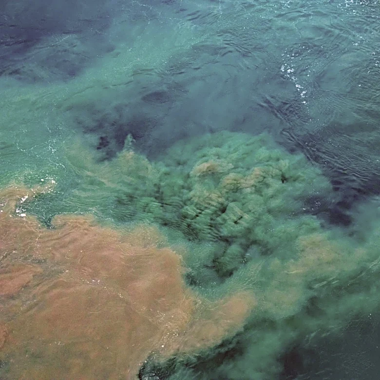 UN Report Warns Oceans at Tipping Point Due to Climate Change and Pollution