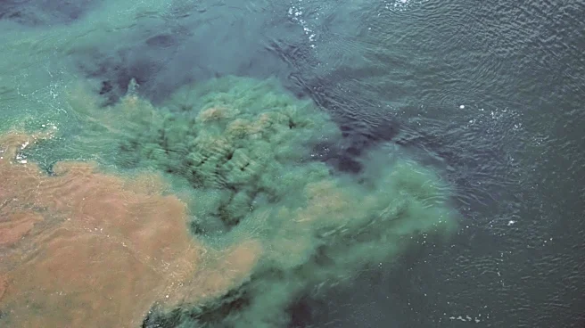 UN Report Warns Oceans at Tipping Point Due to Climate Change and Pollution