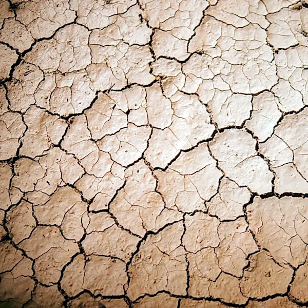 U.S. Power Grid Faces Challenges Amid Extreme Heat and El Niño Conditions