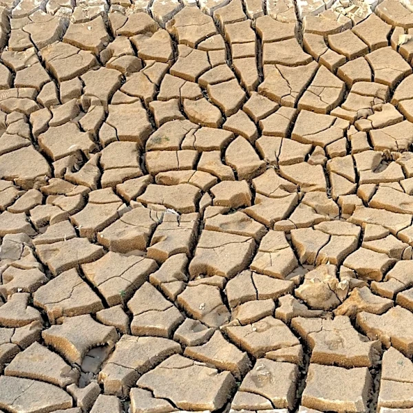 Global Reservoirs at Risk of Sediment Build-Up by 2060