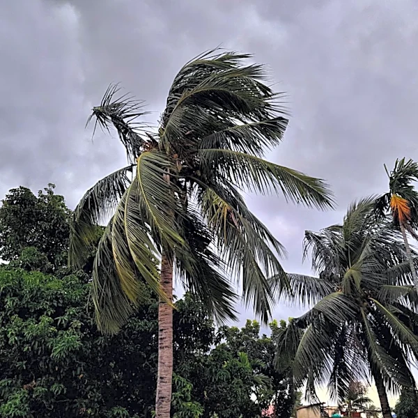 Historic Weather Patterns in the American South: A Look at Climate and Geography