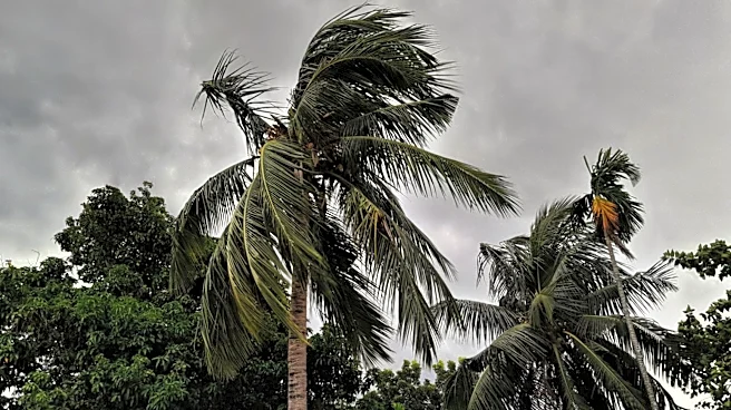 Historic Weather Patterns in the American South: A Look at Climate and Geography