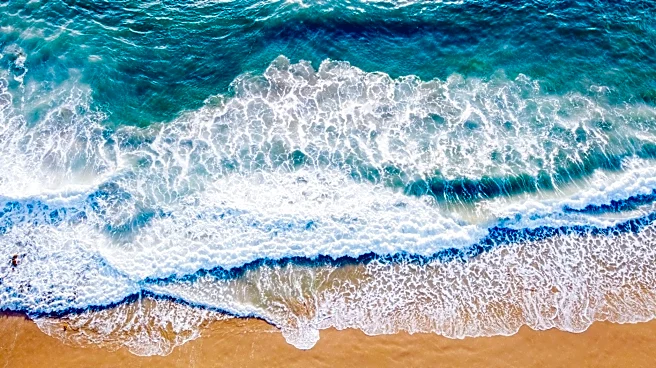 Monster Waves Hit Southern California, Prompting Beach Warnings