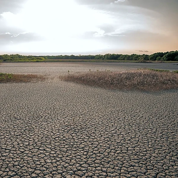 Potential 'Super El Niño' Could Lead to Record Global Temperatures