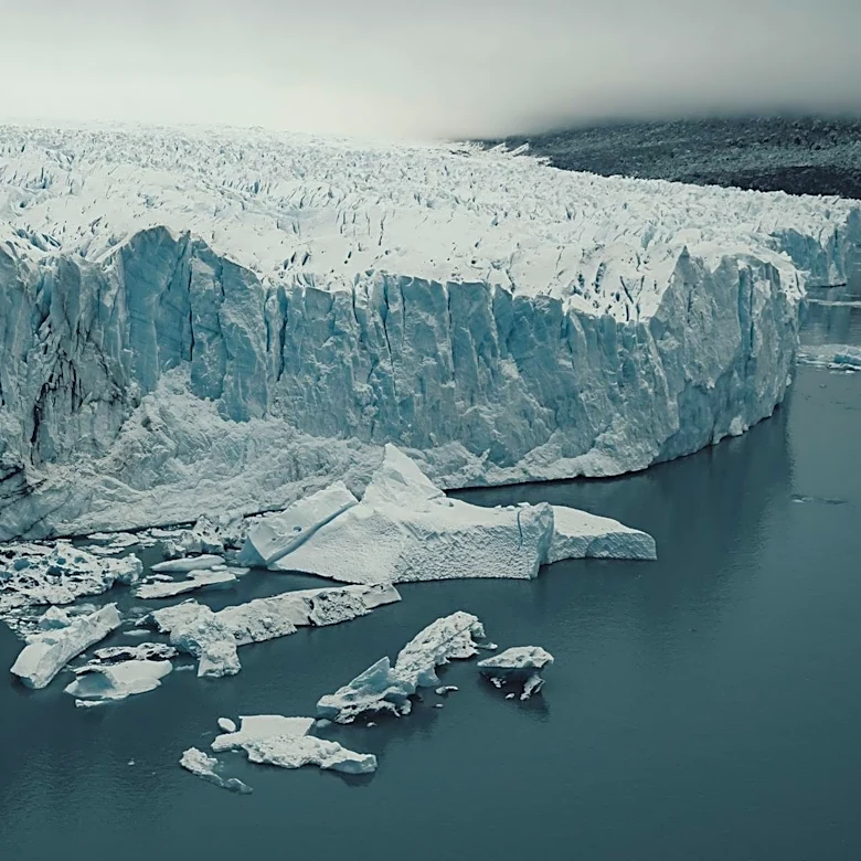 Retreating Glaciers in the Arctic Increase Iceberg Sightings and Reshape Deep-Sea Habitats