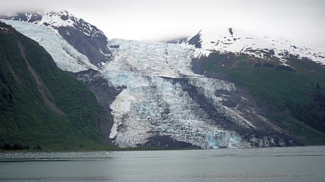 Summer Weather Highlights Accessibility and Wildlife in US National Parks