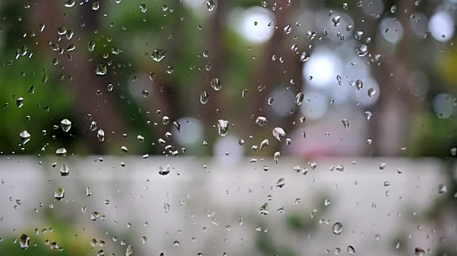 Strong El Niño Expected to Bring Heavy Rain to Southern California