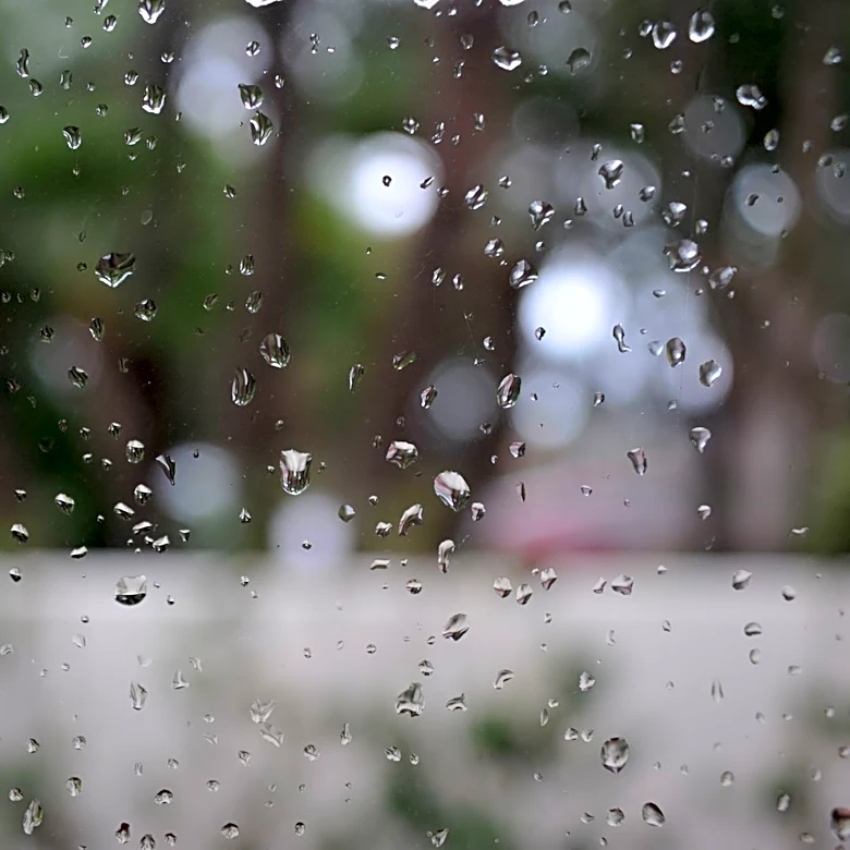 Strong El Niño Expected to Impact California with Potential Heavy Rainfall