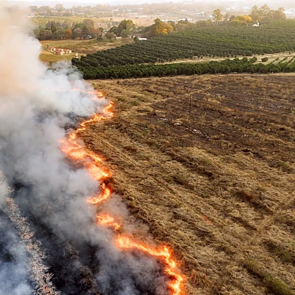 Shenandoah County Faces Agricultural Crisis After Freeze and Dry Spring