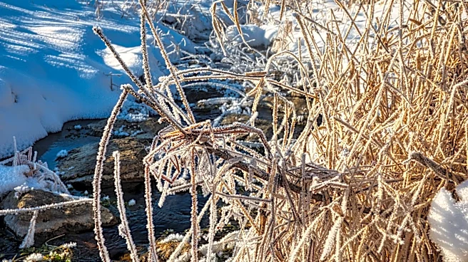 Minnesota to Experience Cooler, Comfortable Weekend Weather