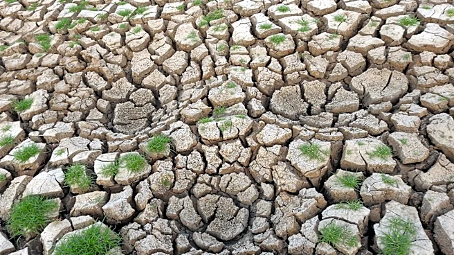 Strong-to-Historic El Niño Predicted for 2026 with Global Impacts