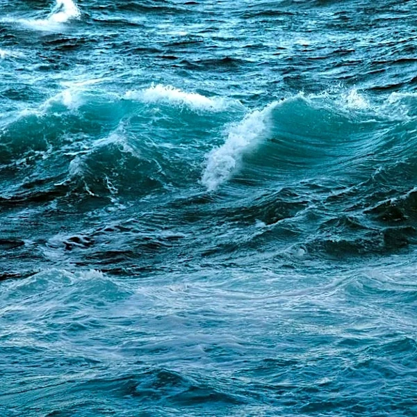 Atlantic ‘Cold Blob’ Signals Troubling Climate Shift
