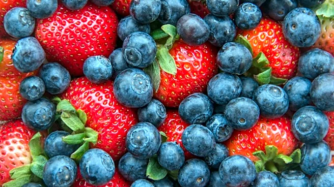Why Your Summer Berries Need a Better Wash