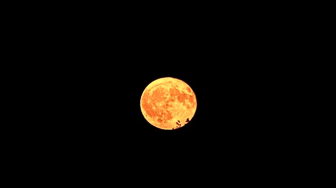 Strawberry Moon to Illuminate Chicago Skies on June 29
