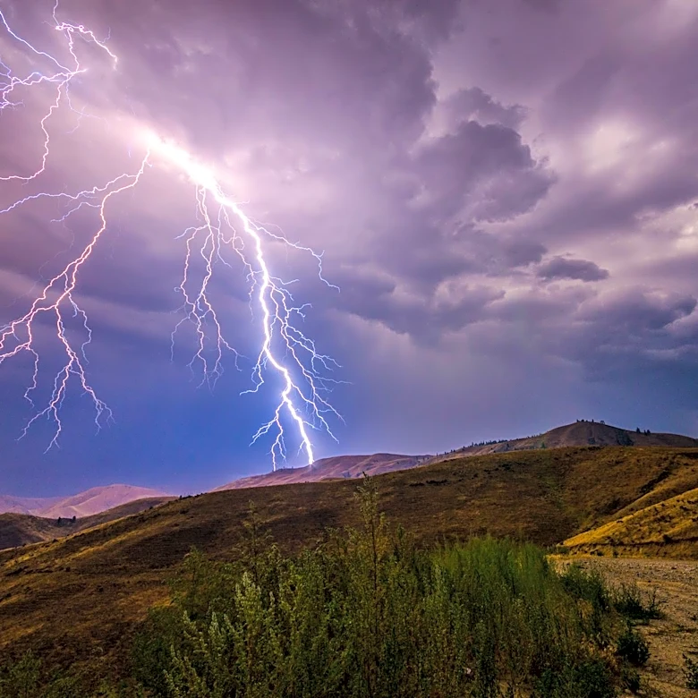 Severe Weather Threatens UFC Freedom 250 Event in Washington, D.C.