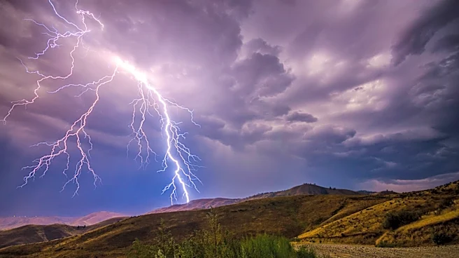 Severe Weather Threatens UFC Freedom 250 Event in Washington, D.C.