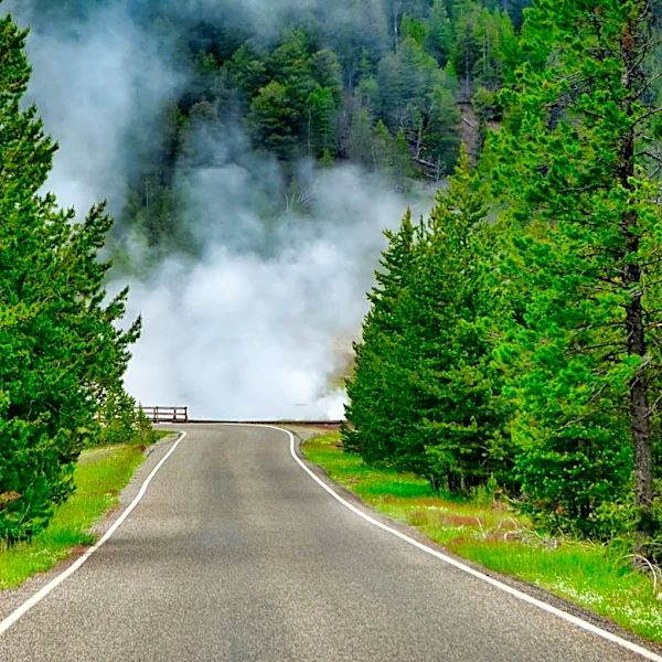 Yellowstone National Park Road Updates for 2026 Travel Season