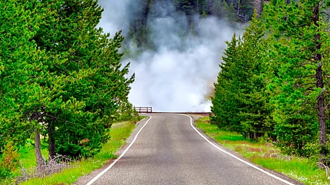 Yellowstone National Park Road Updates for 2026 Travel Season