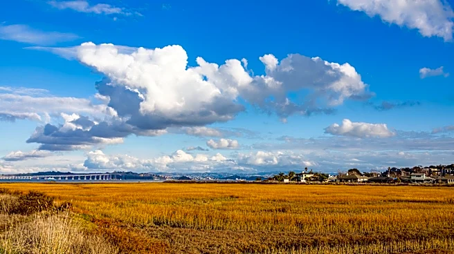 El Niño Expected to Bring Wetter Winter to Bay Area