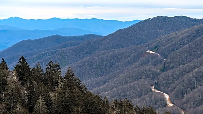 Great Smoky Mountains National Park: A Historical Milestone
