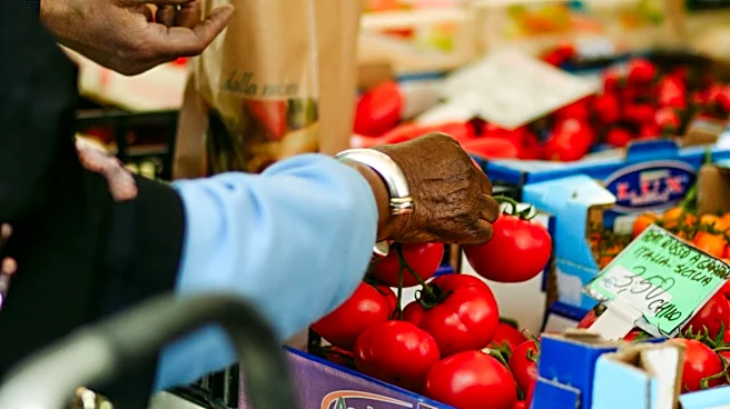 Extreme Weather Drives Up Tomato Prices Across the U.S.