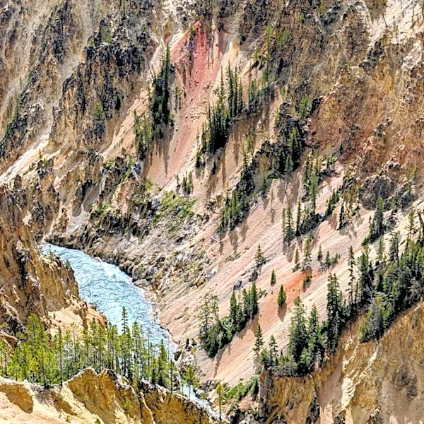 Yankee Jim Canyon Raft Race Highlights Community Spirit in Gardiner, Montana