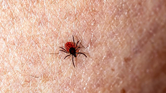 Tick-Borne Illnesses on the Rise, Pets Identified as Key Carriers
