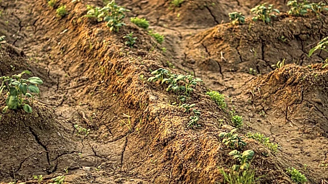 South Dakota Farmers Prepare for Drought with Resilient Practices