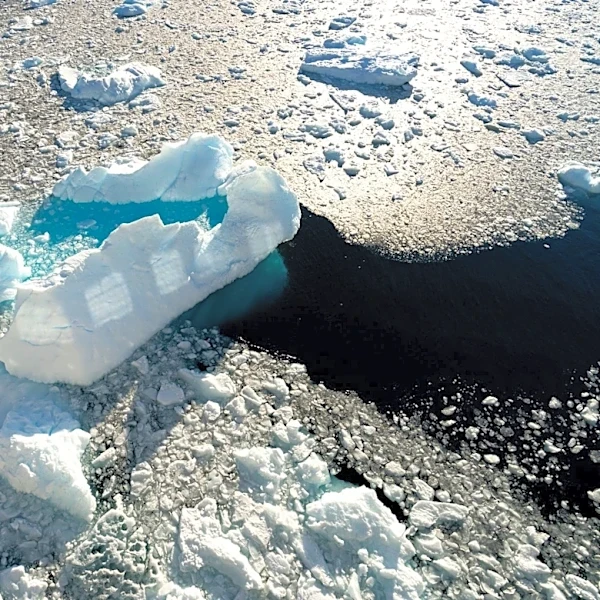 Unusual 'Cold Blob' in North Atlantic Raises Climate Concerns