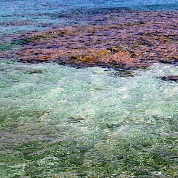 Lawmakers Oppose Dismantling of $386M Ocean Observatory Project
