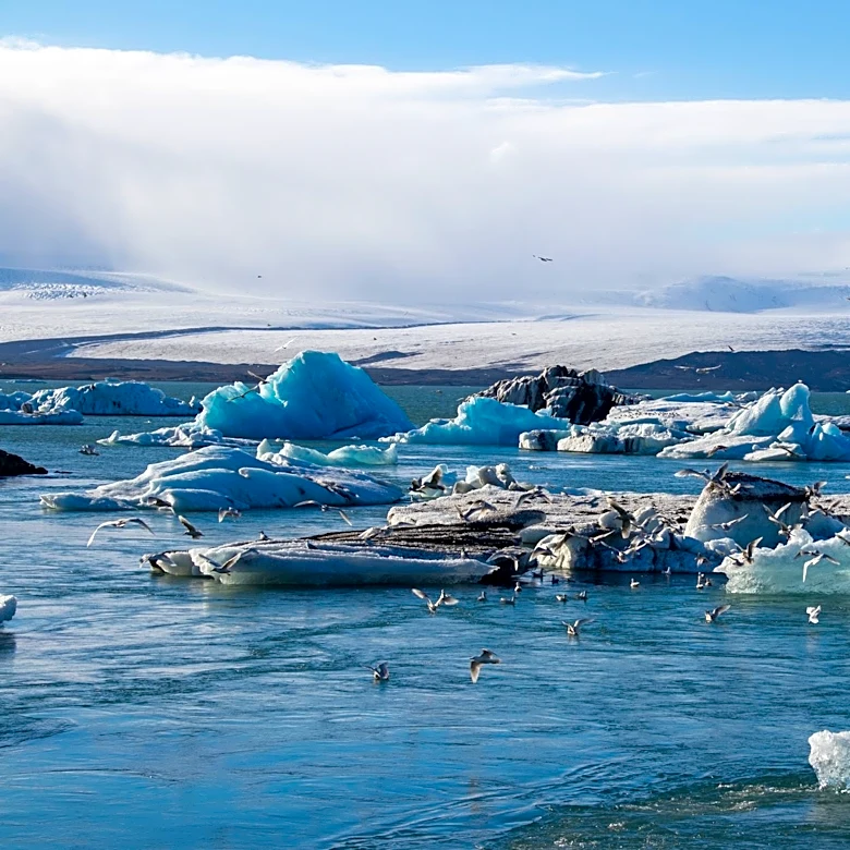 Early Warning System Developed to Mitigate Biodiversity Risks from Extreme Temperatures