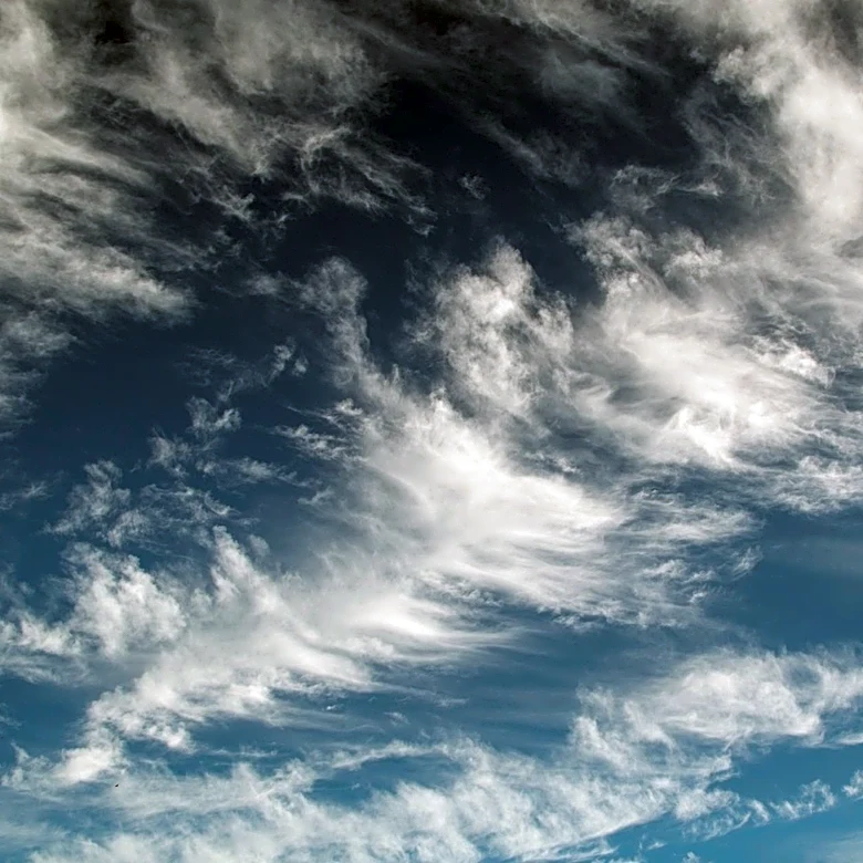 Stratospheric Circulation Acceleration Observed Over Three Decades