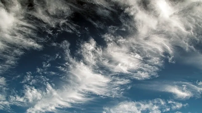 Stratospheric Circulation Acceleration Observed Over Three Decades