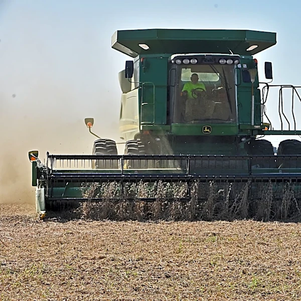 Corn and Soybean Crop Ratings Improve; Wheat Harvest Reaches 25% Completion
