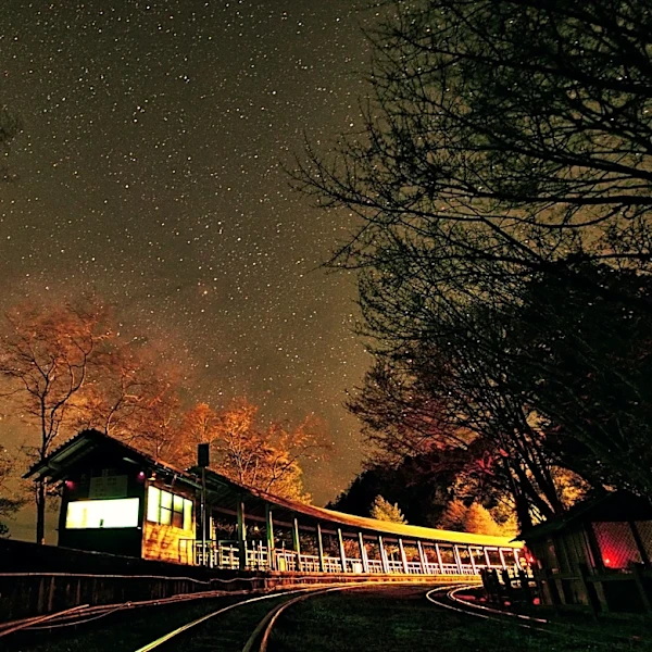 Stargazing Train Rides Across the U.S. Offer Unique Nighttime Adventures