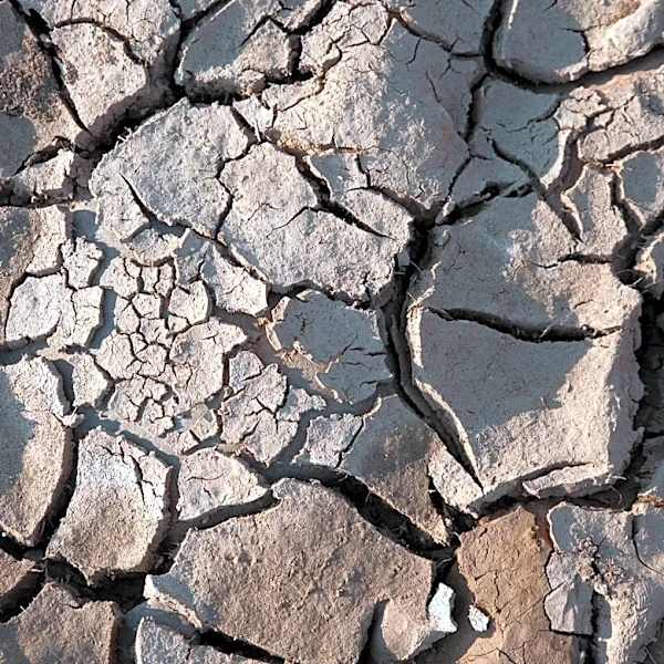 NOAA Confirms El Niño Conditions with Strengthening Expected