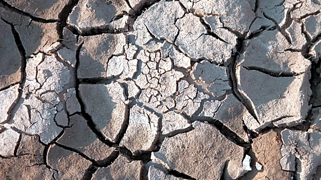 NOAA Confirms El Niño Conditions with Strengthening Expected