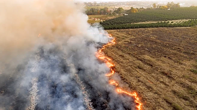 Oregon Declares State of Emergency Amid Rising Wildfire Threat