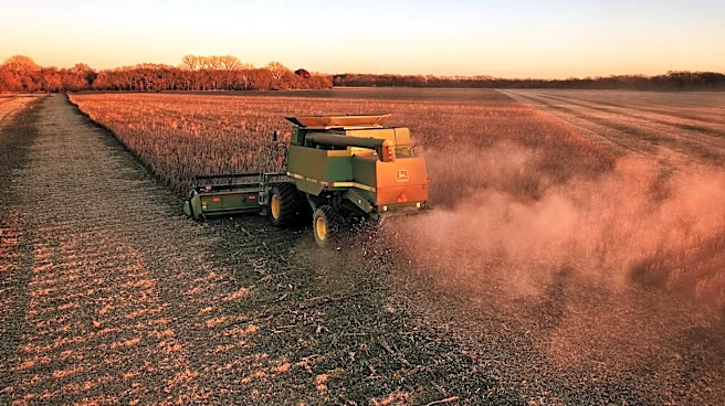 Aerial Imagery Helps Kansas Farmers Detect Crop Stress Early
