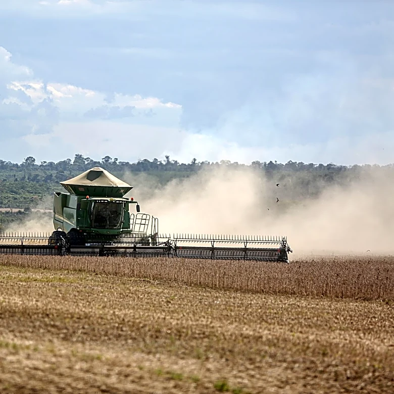 Key Tips for Growing Double-Crop Soybeans in Boone, IA