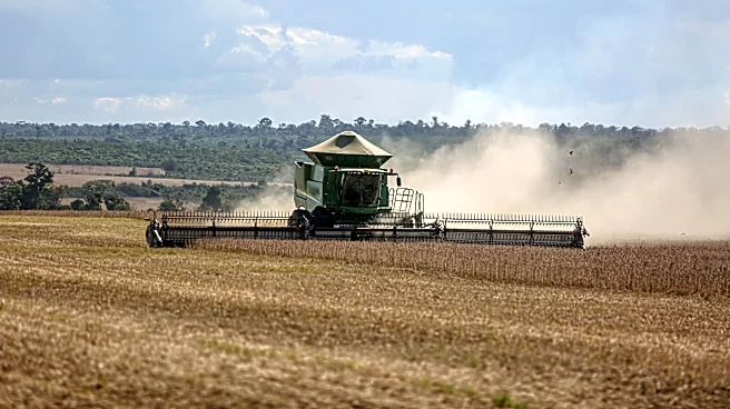 Key Tips for Growing Double-Crop Soybeans in Boone, IA