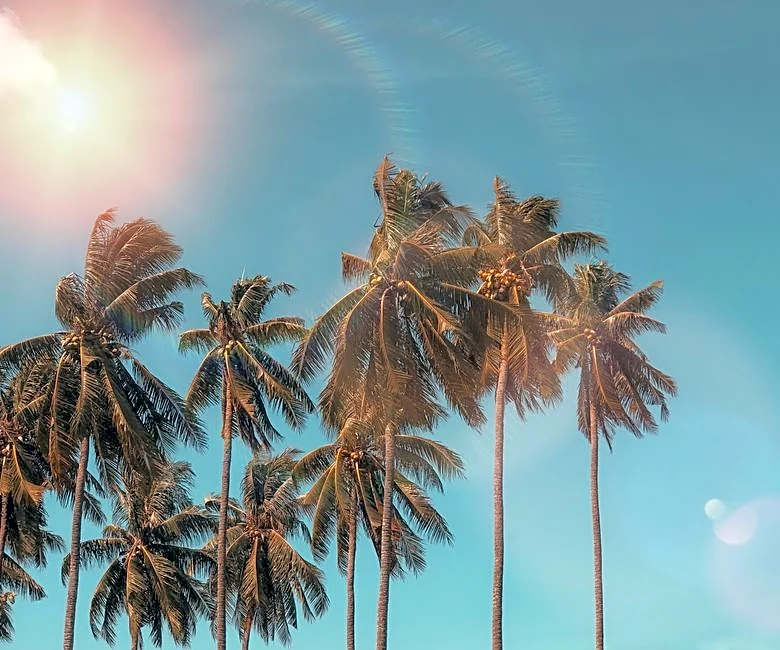 The Surprising Story Behind the Summer Solstice