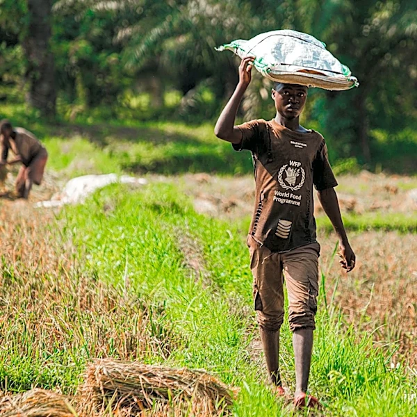 Global El Niño Threat Prompts FAO and WFP to Launch $202M Appeal for 8.8 Million People