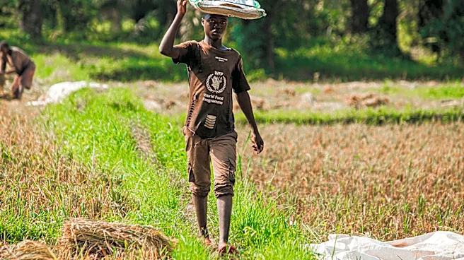 Global El Niño Threat Prompts FAO and WFP to Launch $202M Appeal for 8.8 Million People
