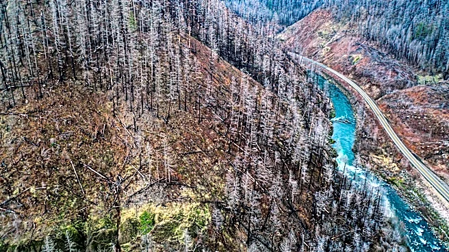 Upriver Fire in Spokane County Burns 200 Acres, U-Haul Offers Free Storage to Evacuees